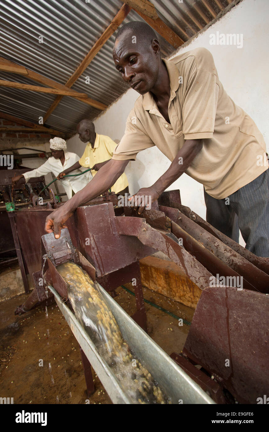 Farmers operate a coffee pulping machine at Orinde Farmers' Cooperative