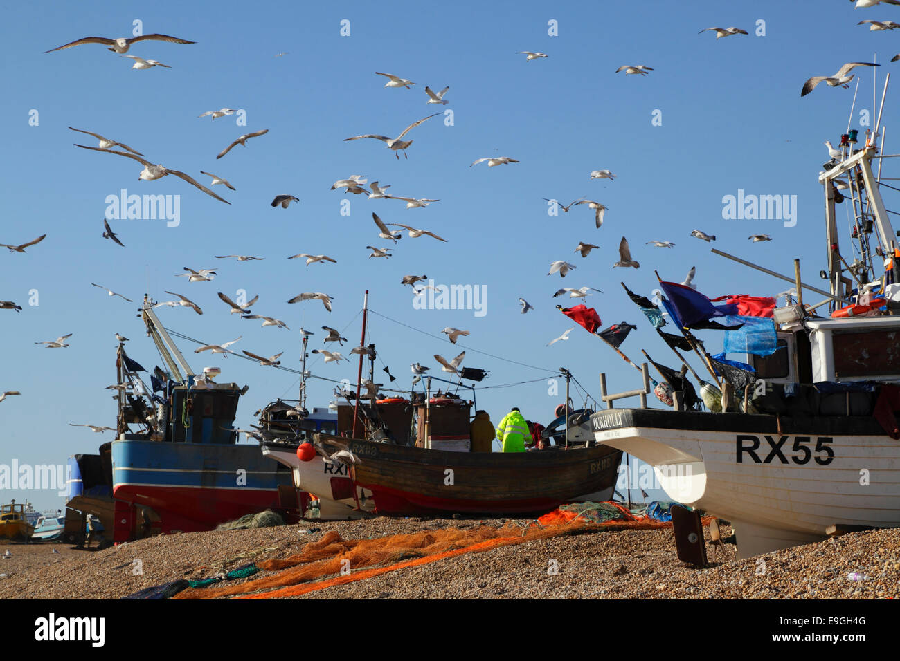 seagulls wheel over hastings fishing boats on the old town