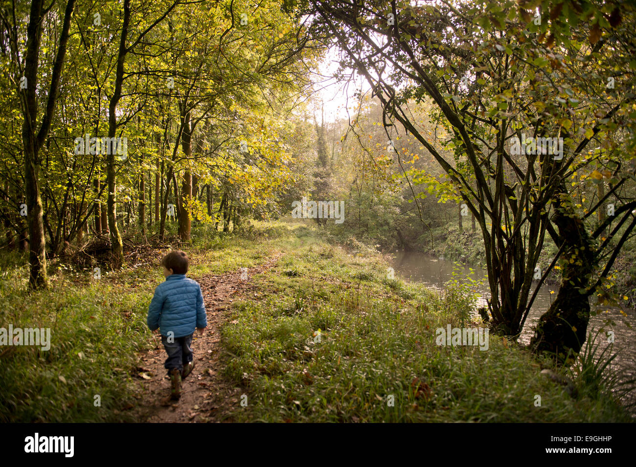 Small boy on an autumn morning in Ash woodland UK Stock Photo