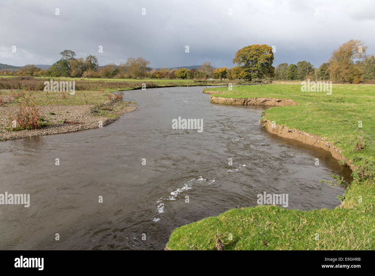 Eroded river banks on the River Teme near Leintwardine, Herefordshire