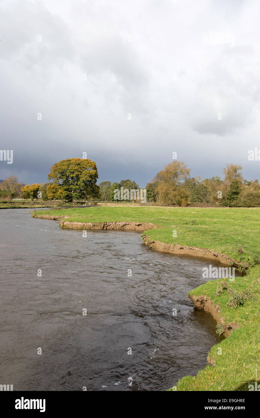 Eroded river bank hi-res stock photography and images - Alamy