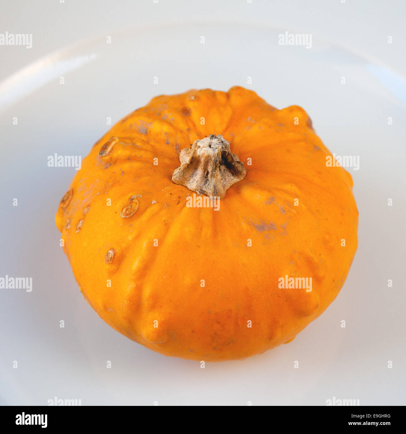 Little Decorative Pumpkins Stock Photo Alamy