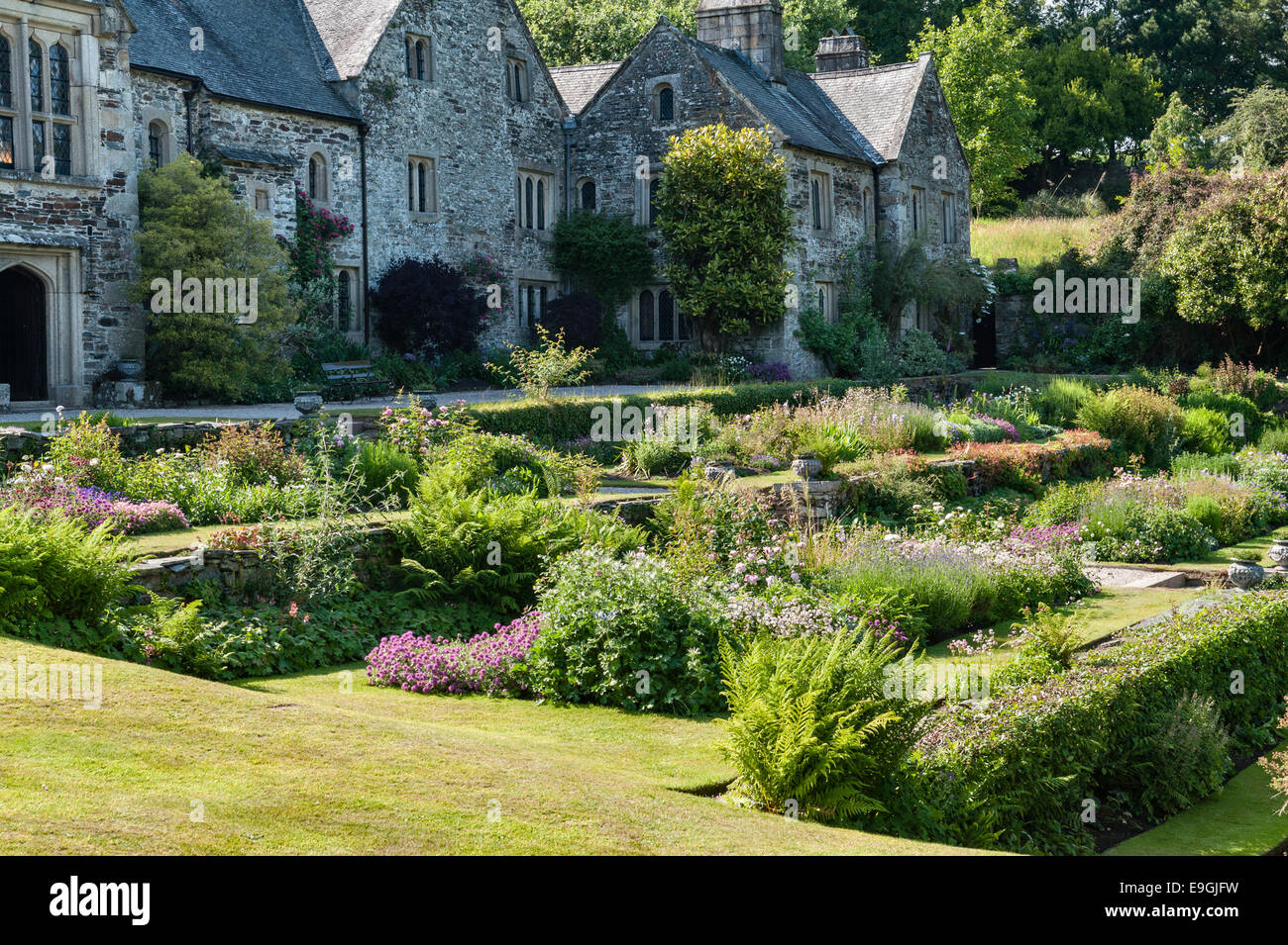 Cotehele, Saltash, Cornwall, UK. The garden terraces in summer Stock