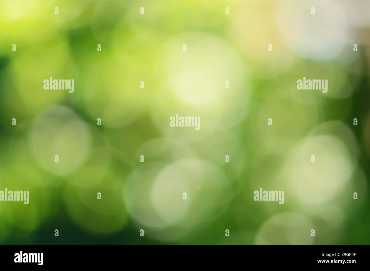 Blurred lights green yellow hi-res stock photography and images - Alamy