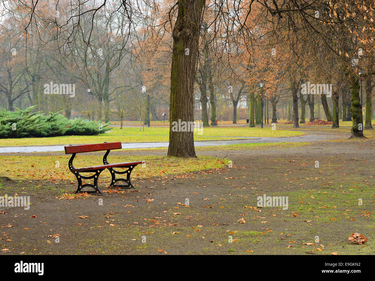 There is no better time than now to binge all three seasons of Search Party starring Alia Shawkat