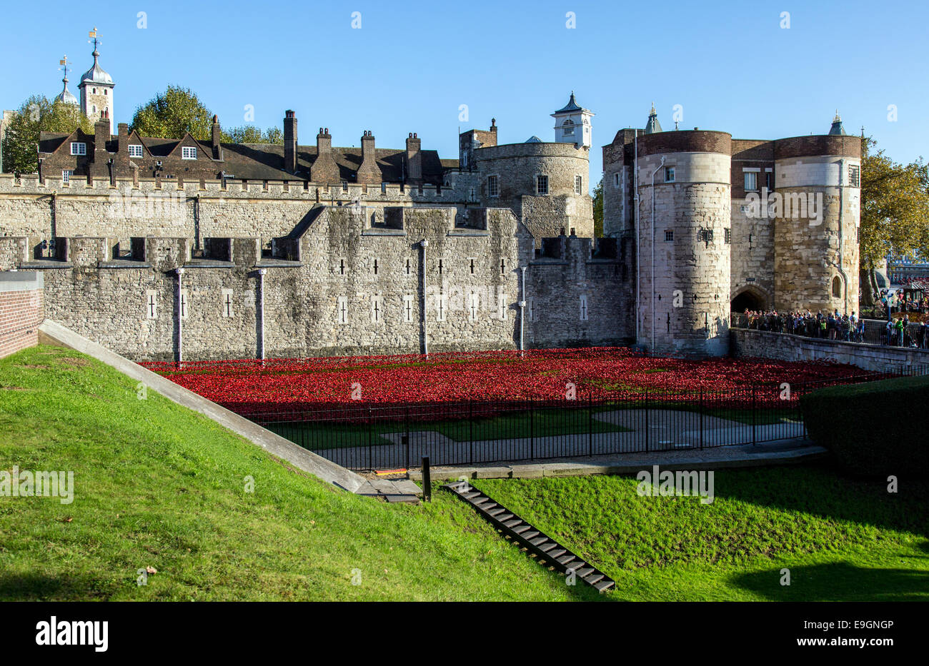 Blood Swept Lands and Seas of Red - Poppies Tower of London UK Stock Photo