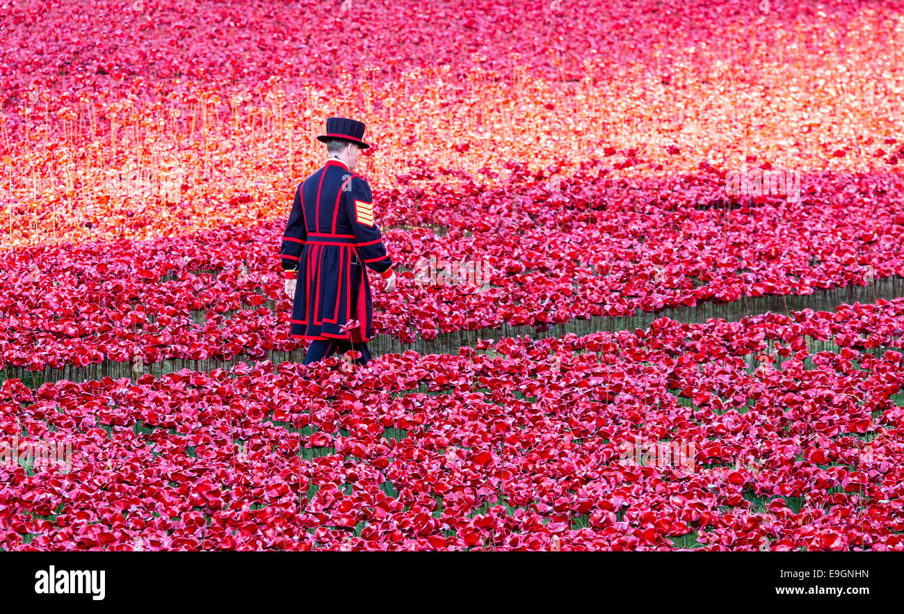 A Beefeater in the Blood Swept Lands and Seas of Red - Poppies Tower of London UK Stock Photo