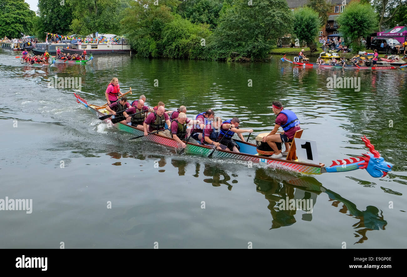 Dragon boat racing at the Bedford River Festival Stock Photo Alamy