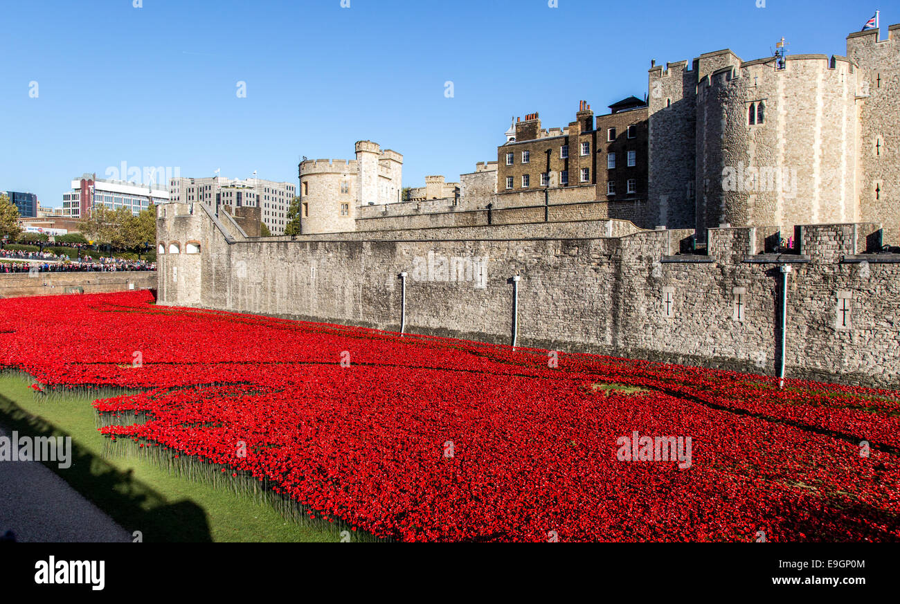 Blood Swept Lands and Seas of Red - Poppies Tower of London UK Stock Photo