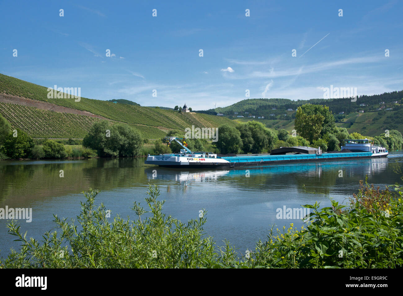 Barge on Moselle River Trittenheim Moselle Valley Germany Stock Photo