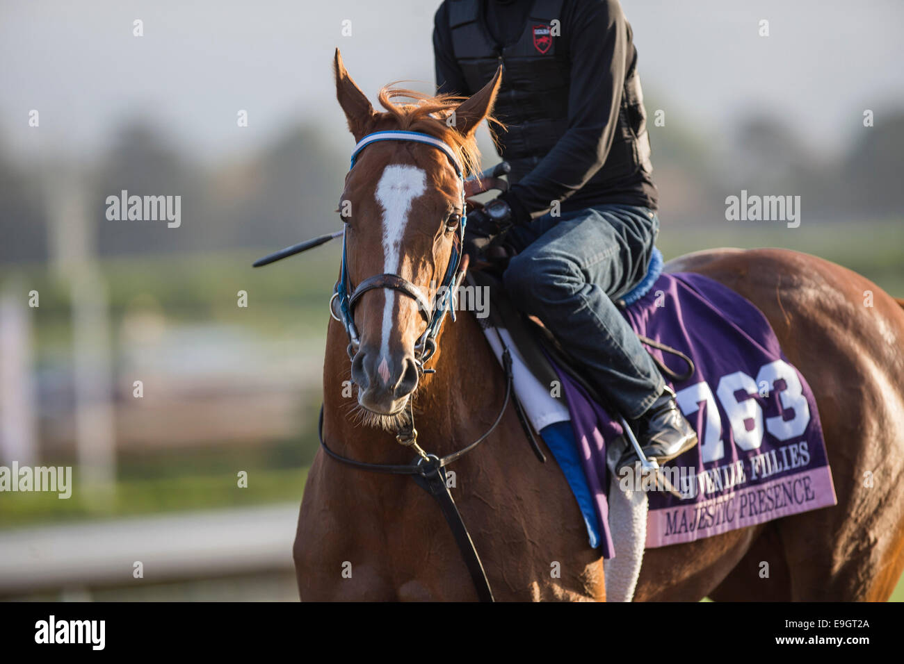 Jerry hollendorfer hires stock photography and images Alamy