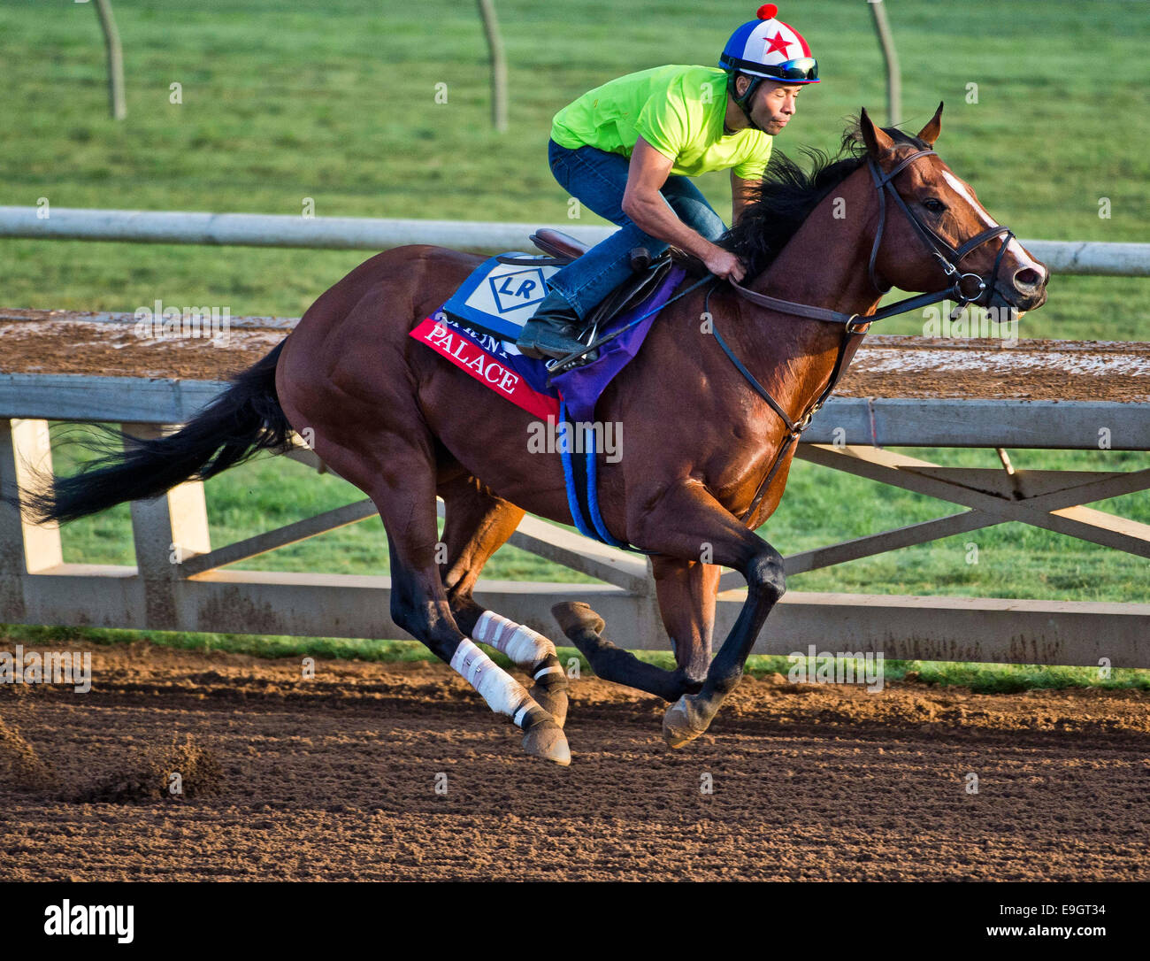 Arcadia, CA, USA. 27th Oct, 2014. Palace, trained by Linda Rice ...