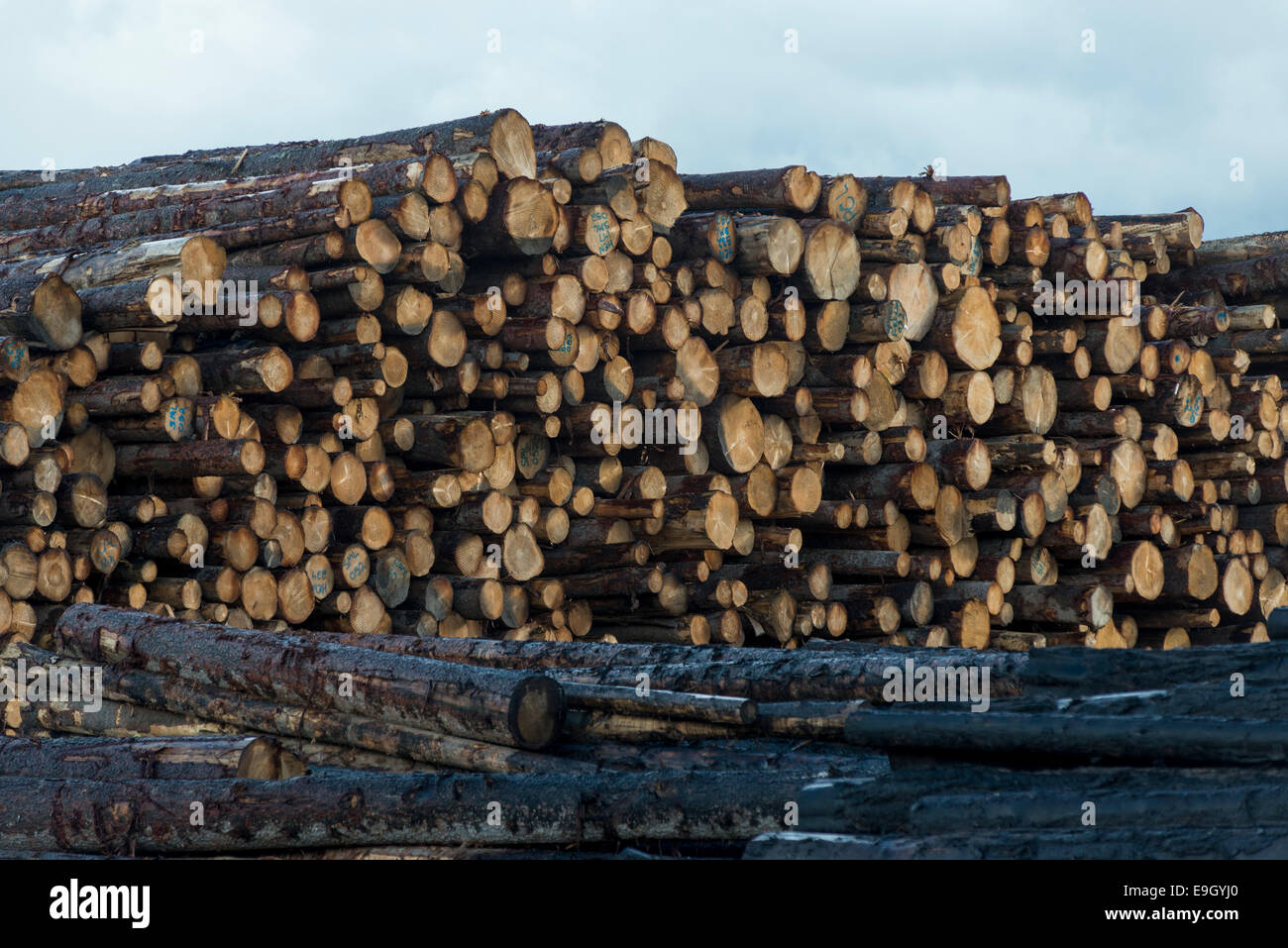 Lumber mill oregon hires stock photography and images Alamy