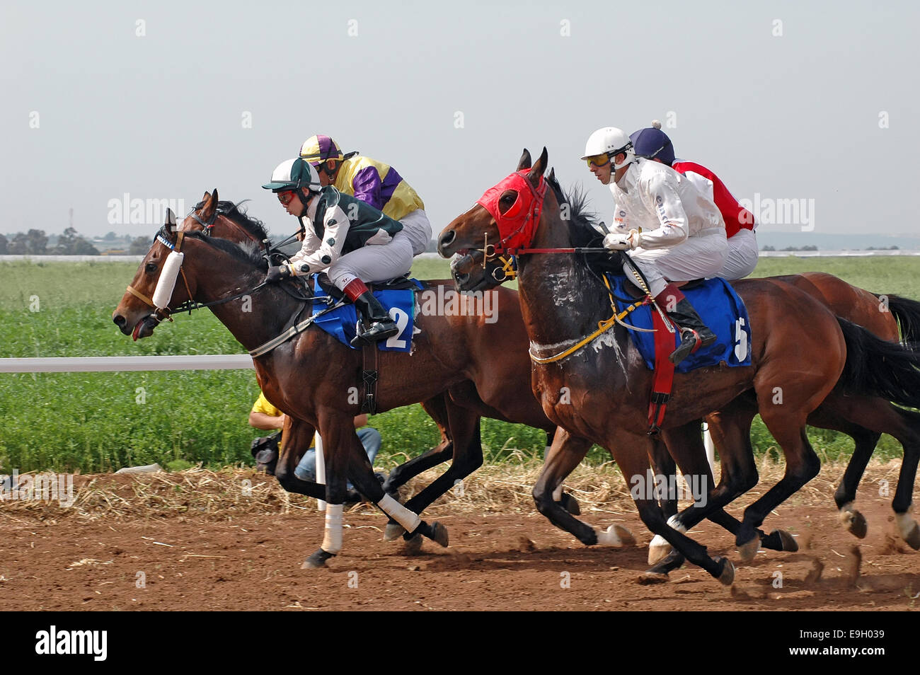 Horse race, Israel Stock Photo