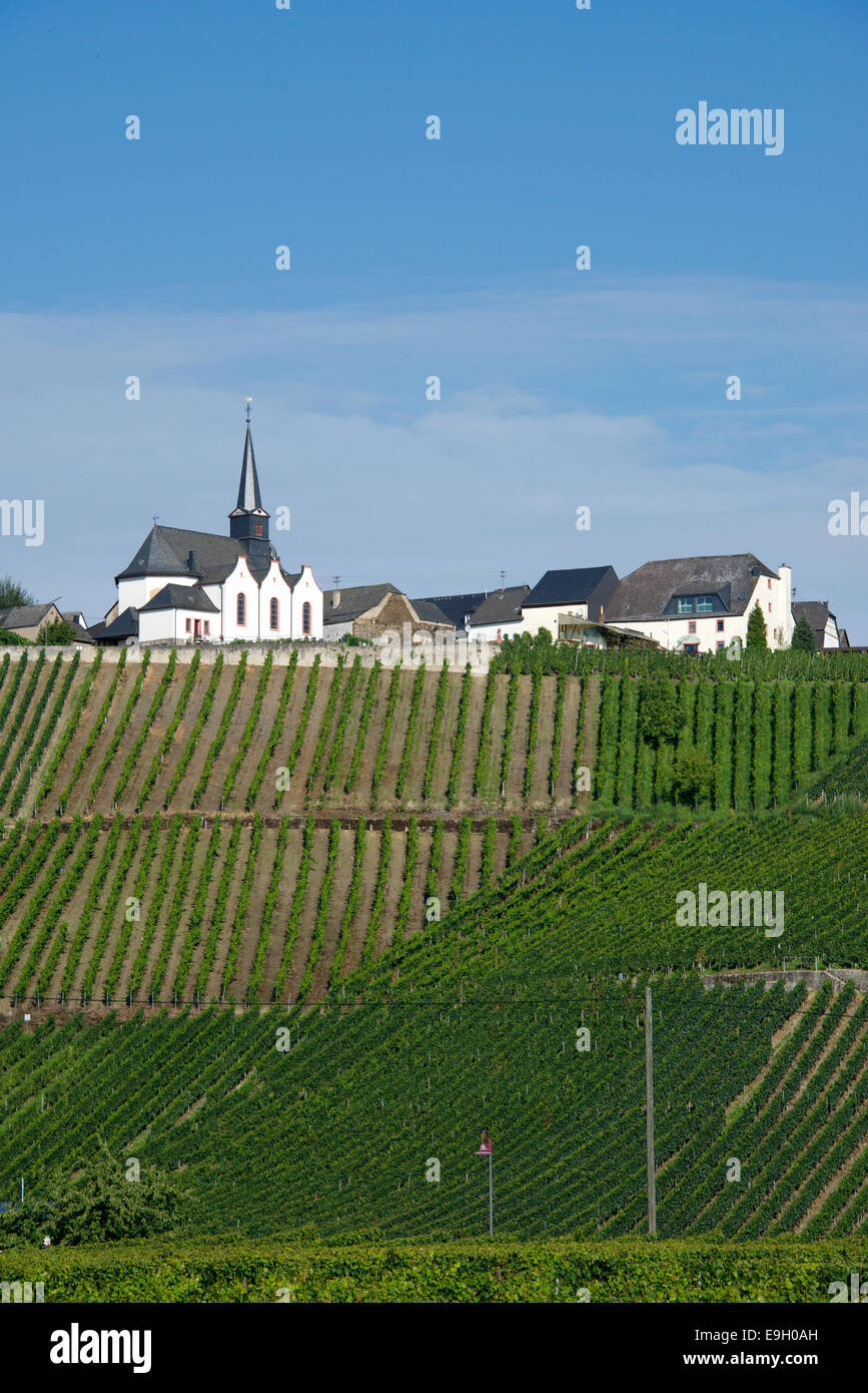 Saint Nicholas Church Monzel and vineyards Moselle Valley Germany Stock Photo
