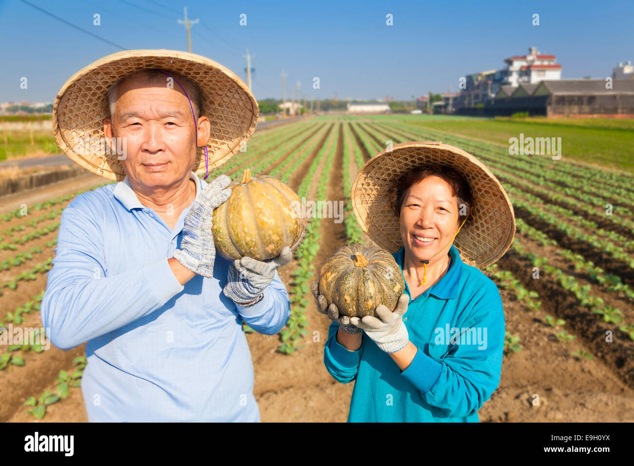 asian senior couple farmer holding pumpkin on his farm Stock Photo
