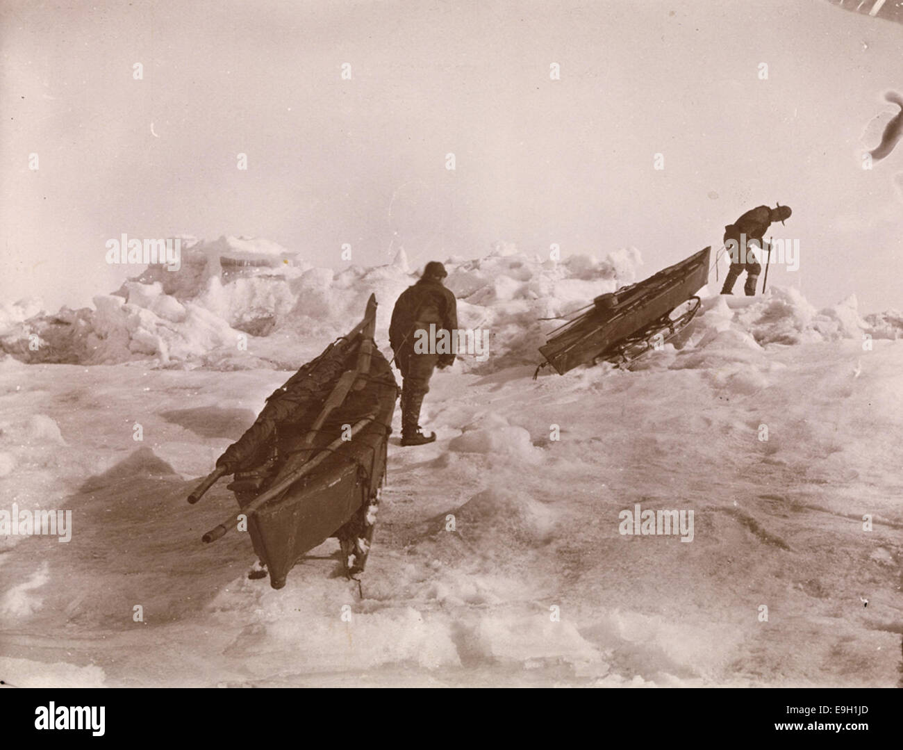 Fridtjof Nansen og Fredrik Hjalmar Johansen trekker kjelkene over den  ujevne isen Stock Photo - Alamy