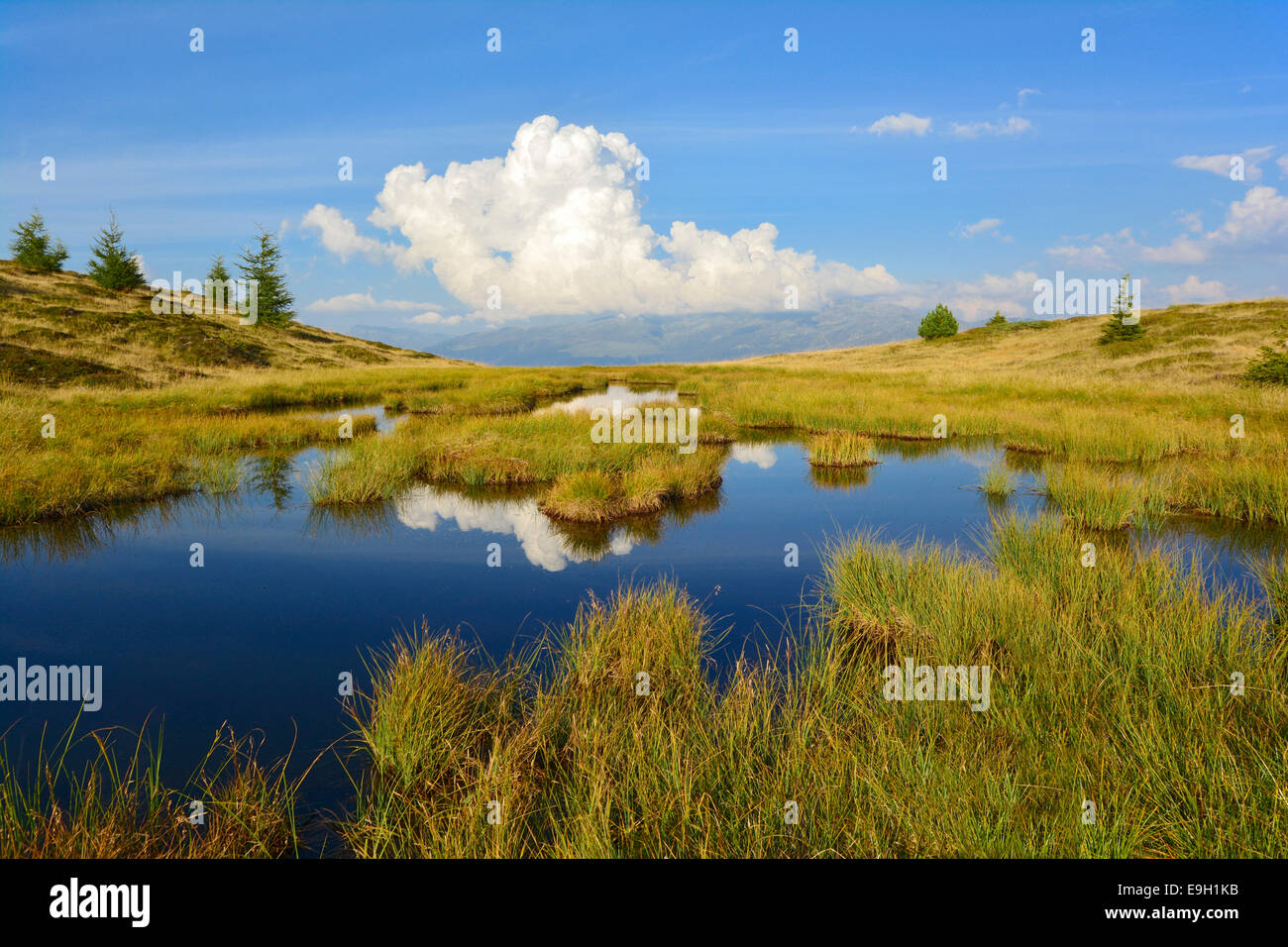 Wetlands at Melchboden, Zillertal Valley, Tux Alps or Tux Prealps, Tyrol, Austria Stock Photo