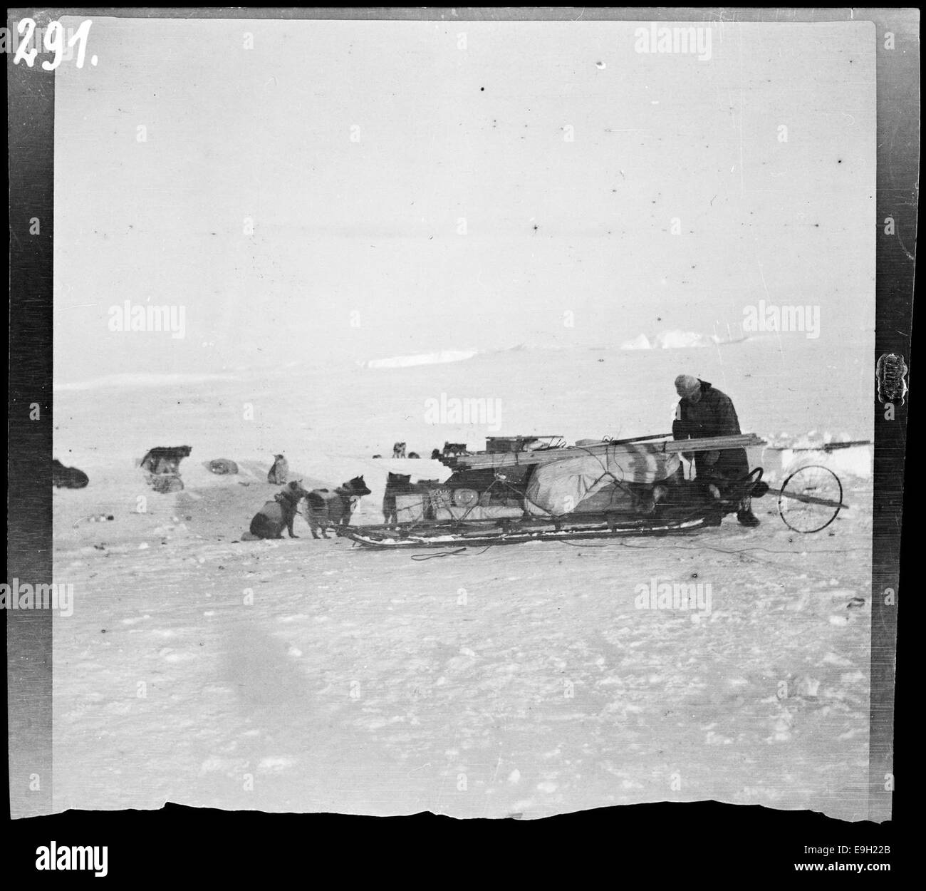 A photograph showing a dog sled team with various equipment, taken in ...