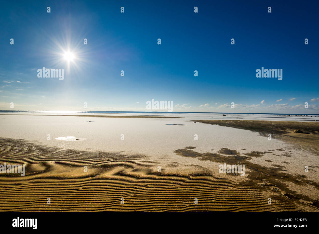 Frozen beach Stock Photo