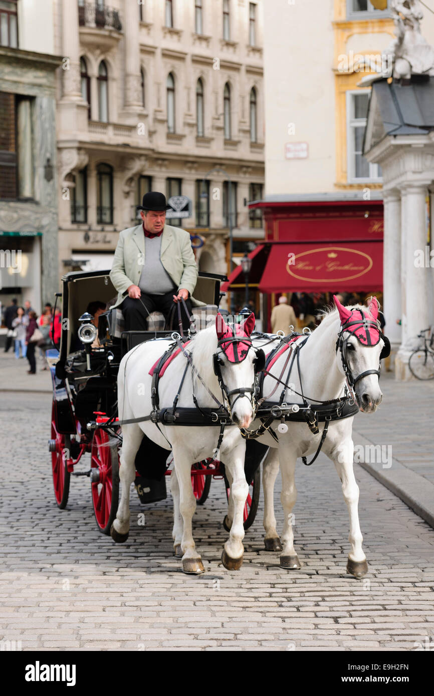 Fiaker, horse-drawn carriage, Vienna, Austria Stock Photo