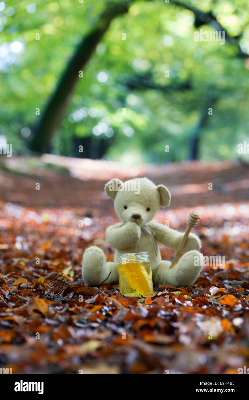 Teddy bear autumn hi-res stock photography and images - Alamy