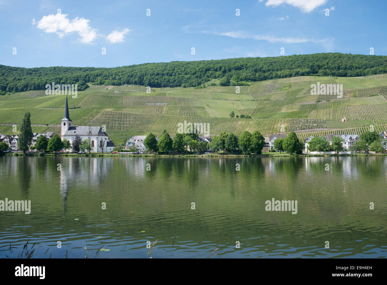 Saint Michael's Church and village Piesport Moselle River Germany Stock Photo