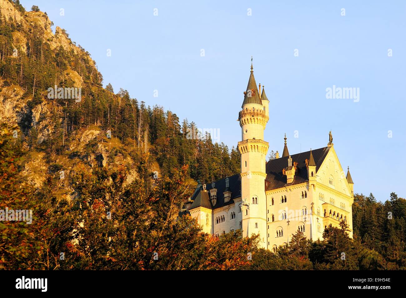 Neuschwanstein Castle in the evening light, Schwangau, Bavaria, Germany ...