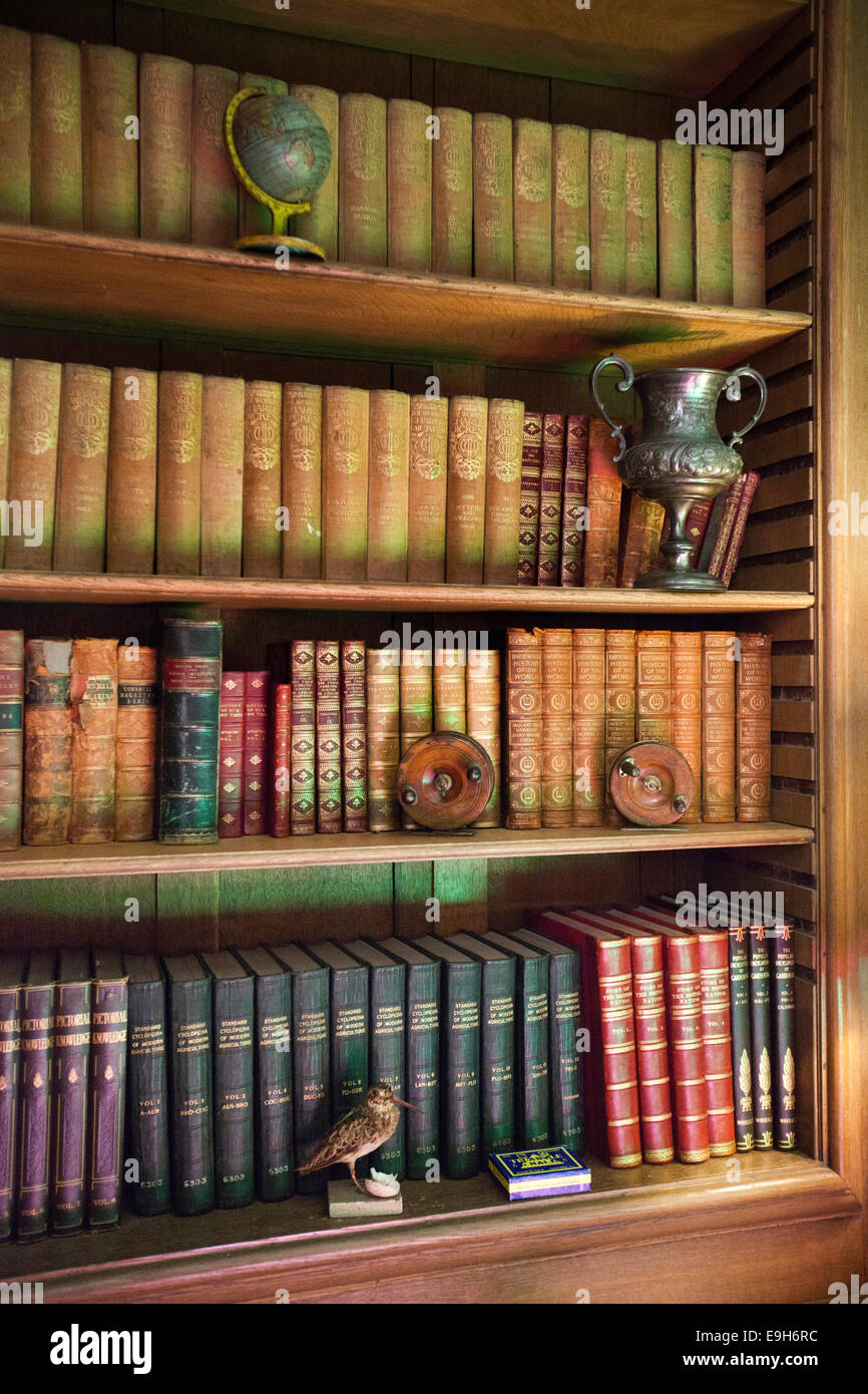 UK, England, Wiltshire, Avebury Manor, Edwardian billiard room library, books Stock Photo