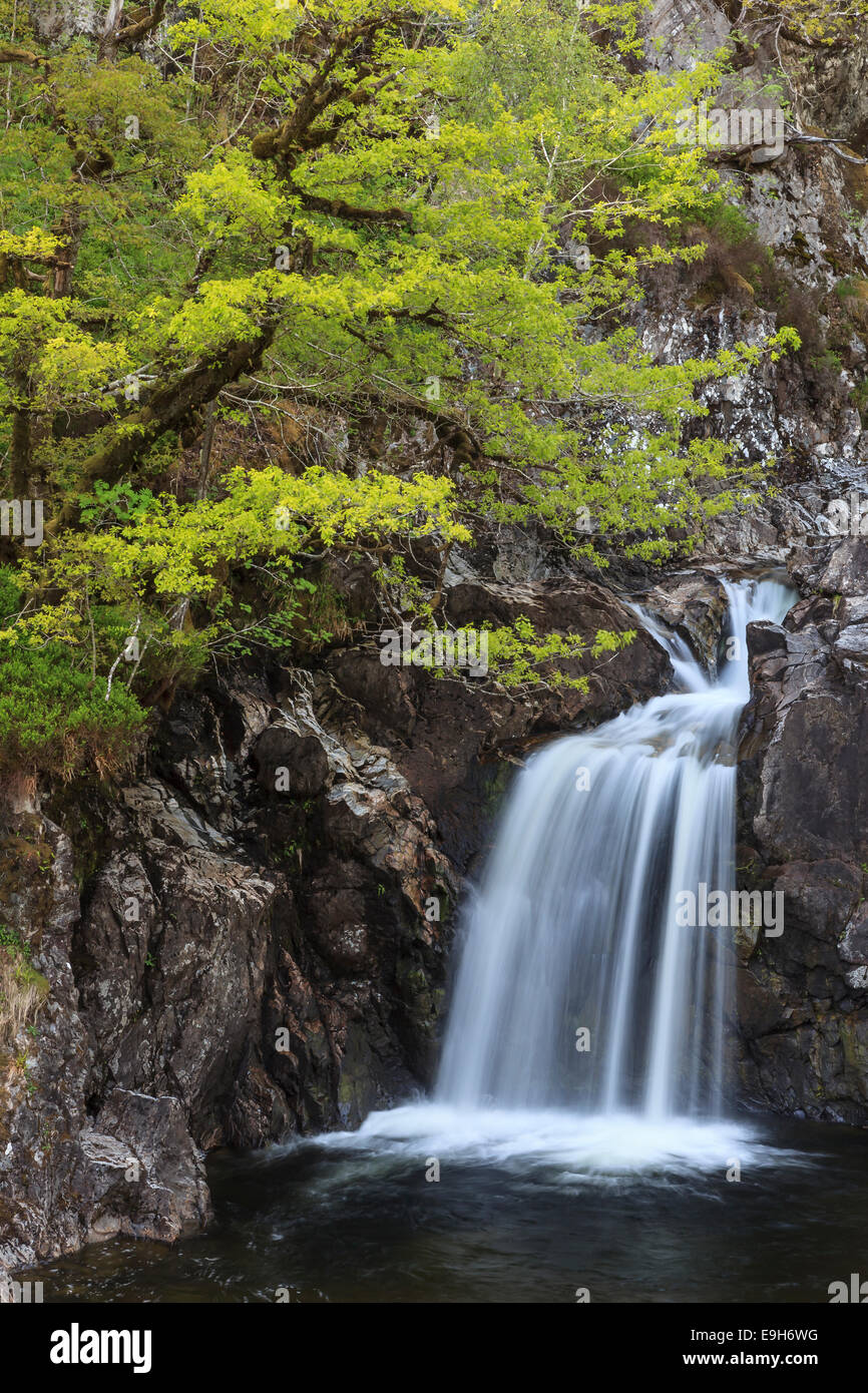 Waterfall in a forest, Drumnadrochit, Scotland, United Kingdom Stock Photo