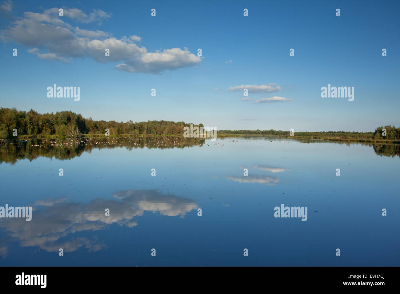 Fen landscape with bright blue sky and reflections in the water Stock Photo