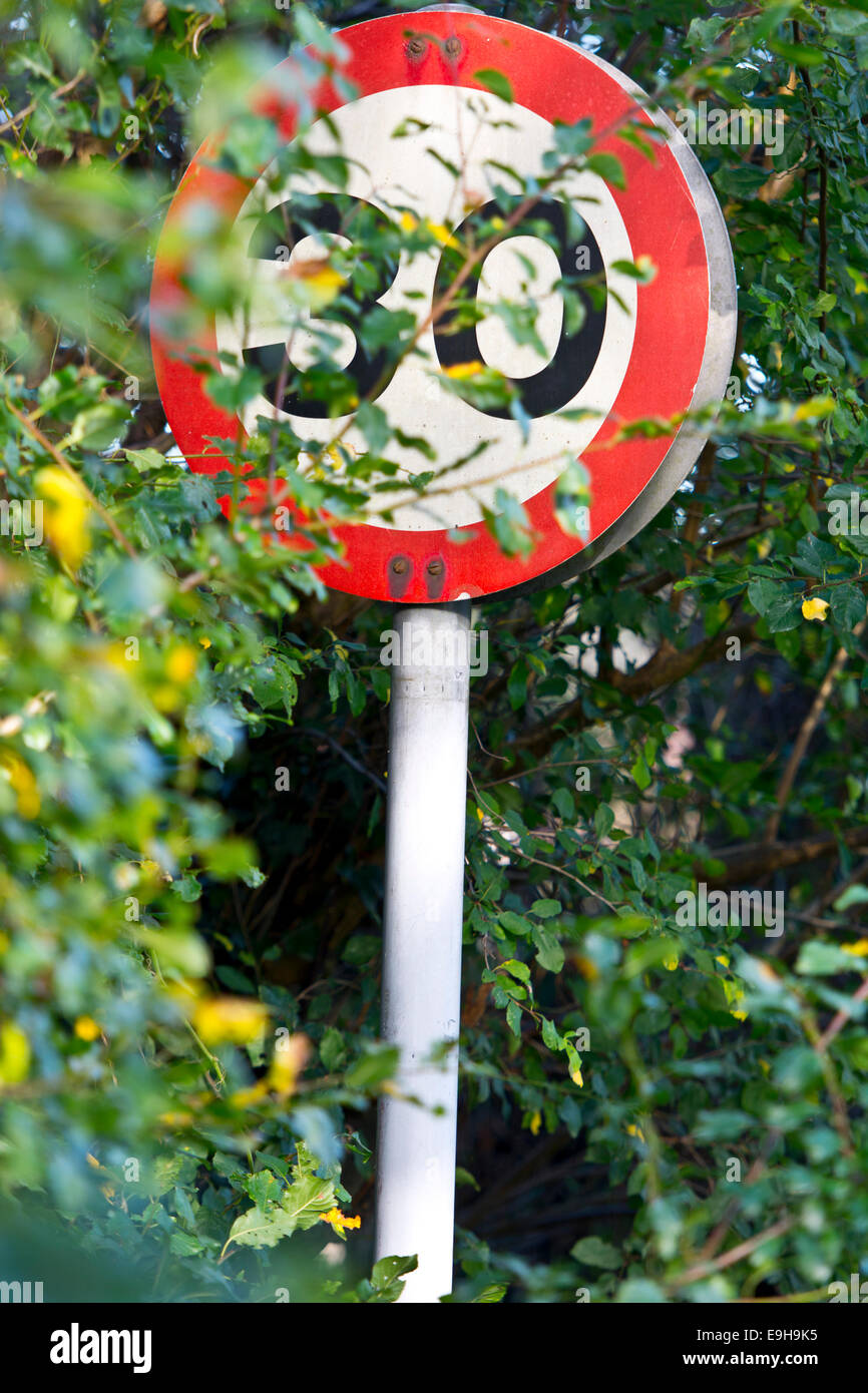 30 mph hidden in hedge on country lane Stock Photo