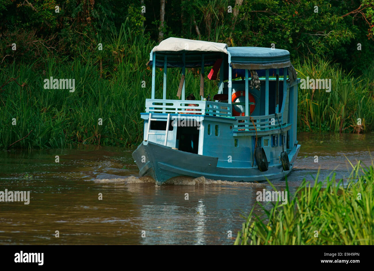 Tourist boat in Tanjung Puting National Park, Central Kalimantan, Borneo, Indonesia Stock Photo