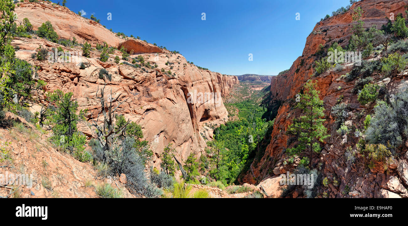 View into the Betatakin Canyon, Flagstaff, Arizona, United States Stock Photo