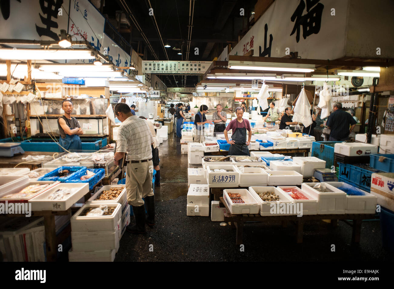Tsukiji fish market, Tokyo, Japan Stock Photo Alamy