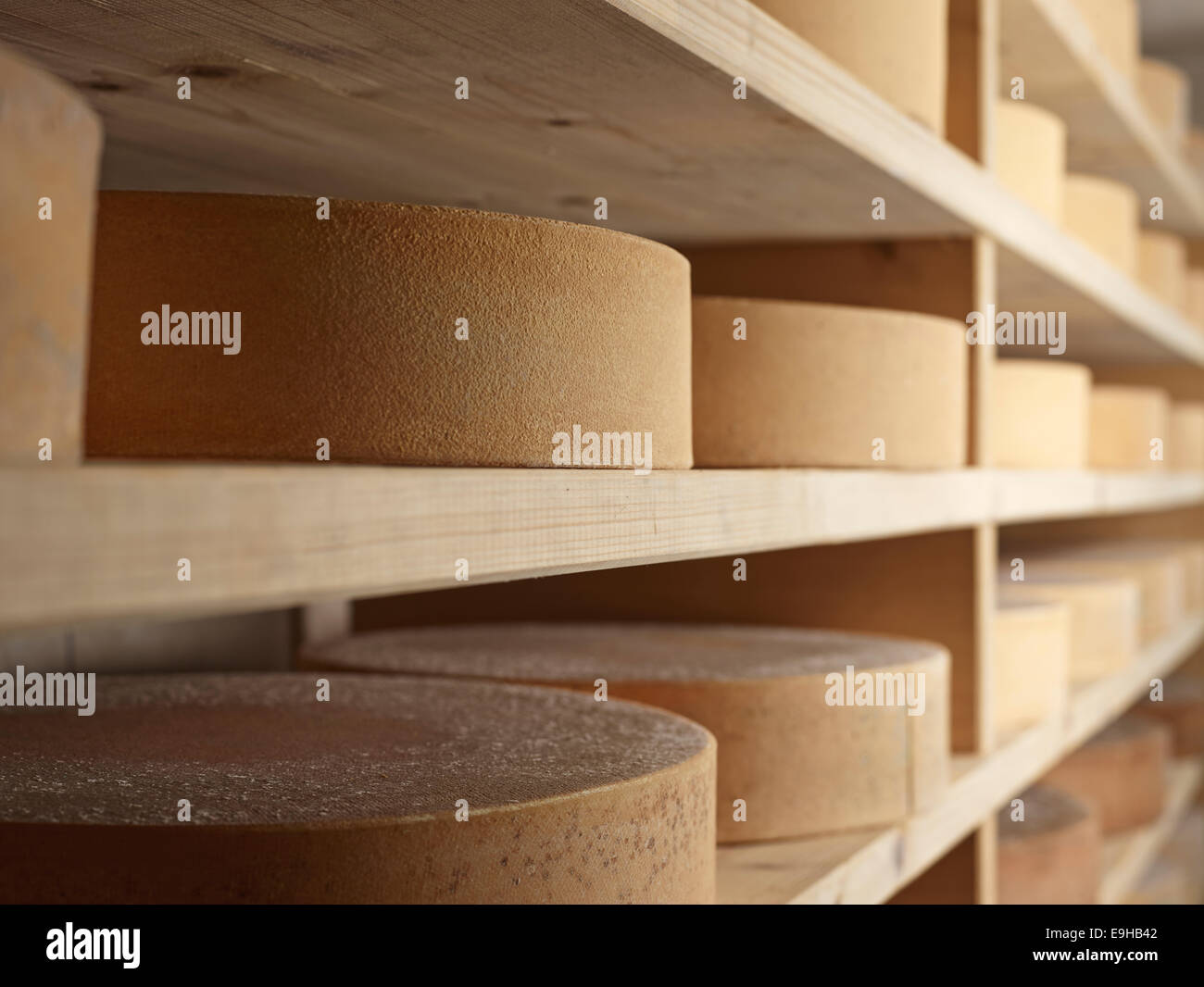 Storing mountain cheese, Steinbergalm, Inneralpbach, Alpbach, Tyrol, Austria Stock Photo