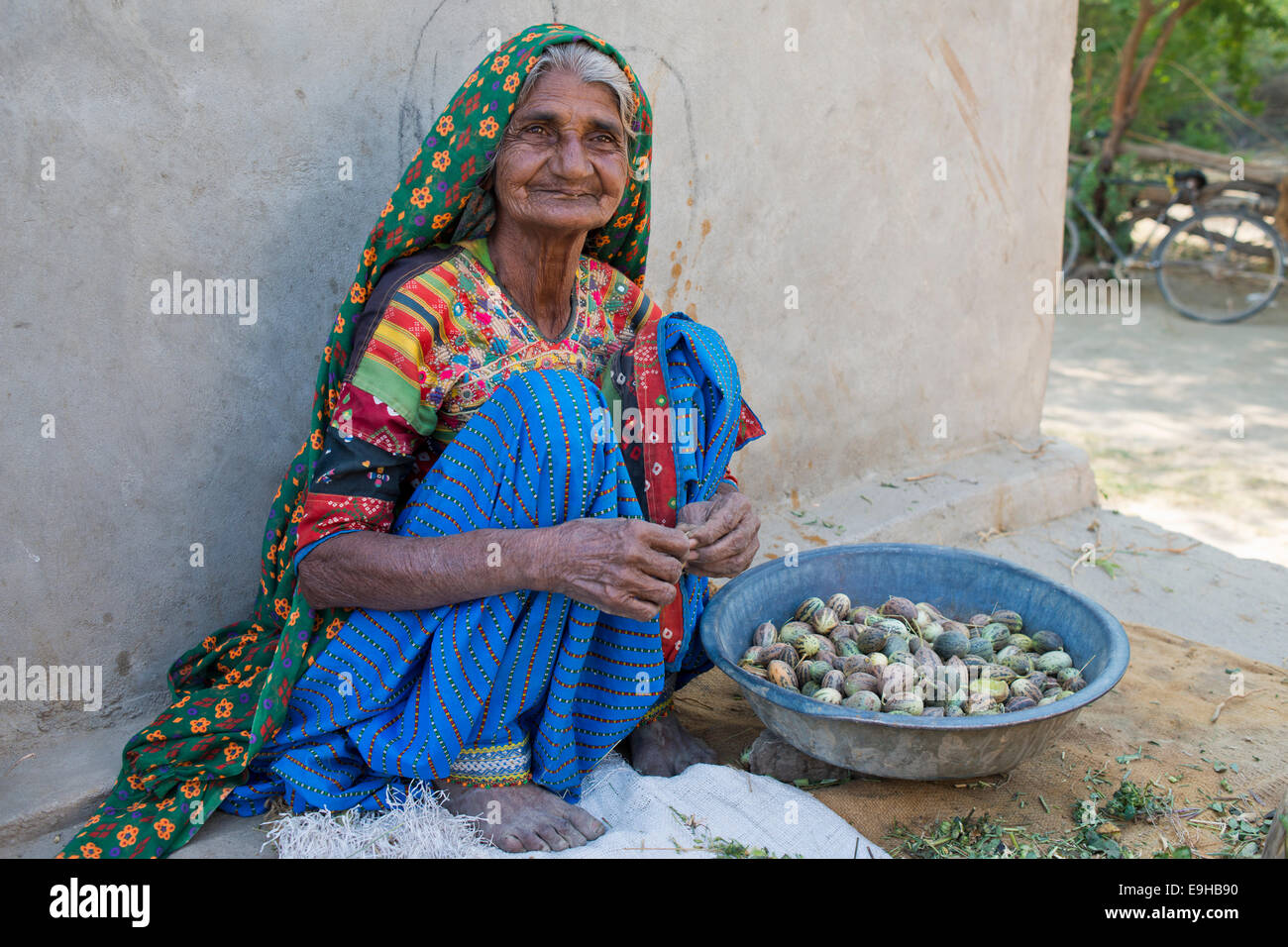 A friendly elderly woman in traditional dress sitting on the ground sorting small melons, Rann of Kutch, Gujarat, India Stock Photo