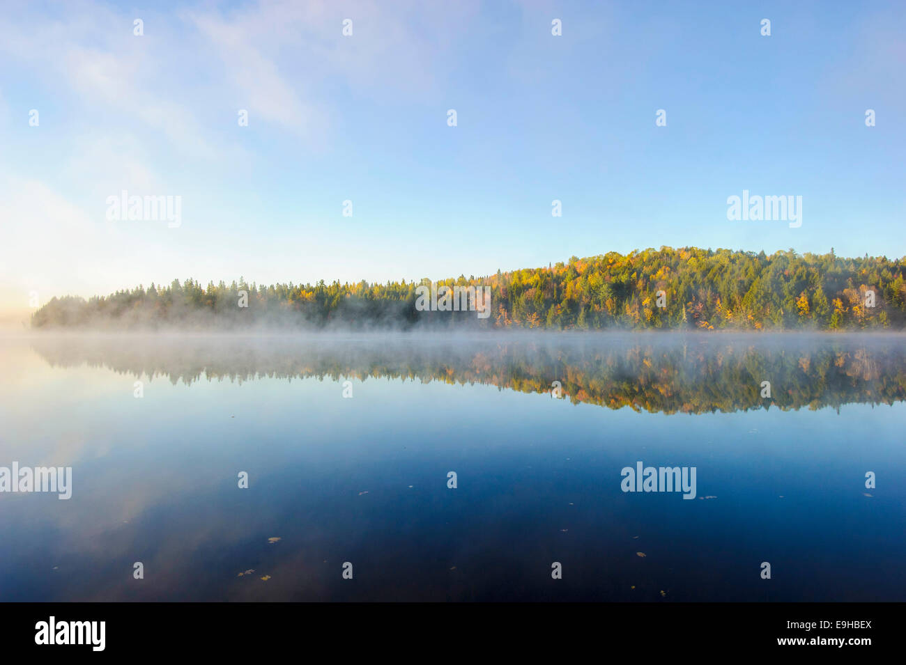 st. john river Stock Photo
