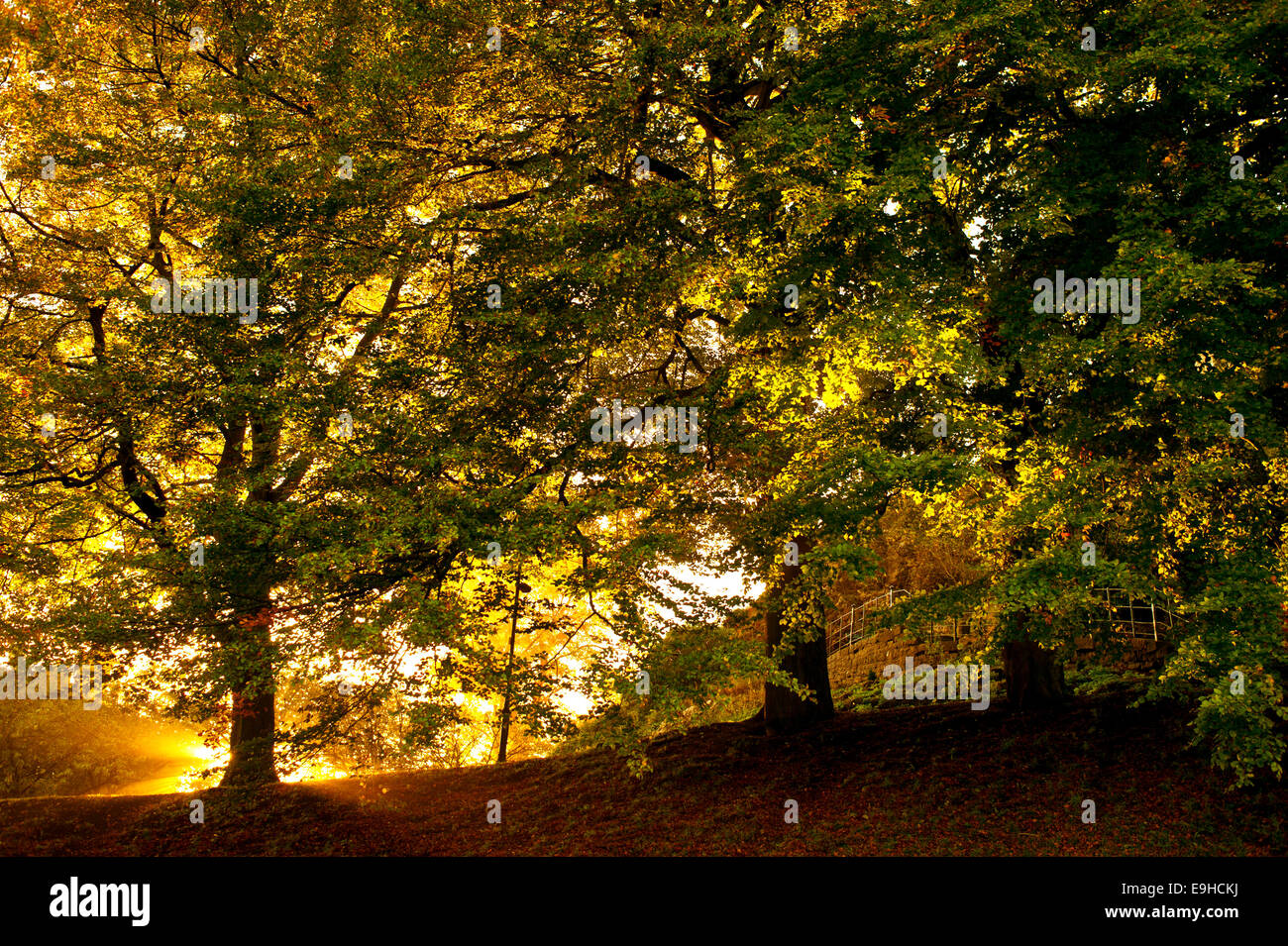 Autumn tints in Clitheroe Castle grounds, Lancashire, UK. Stock Photo