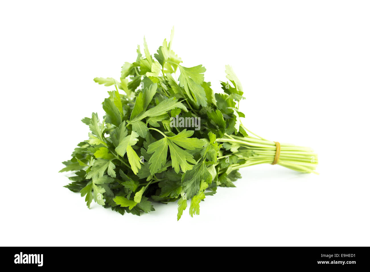a bunch of parsley Stock Photo Alamy