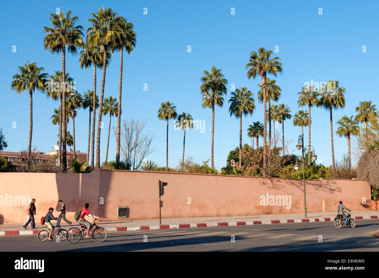 Old city wall and palm trees in Marrakesh. November 23, 2008 in Marrakesh, Morocco Stock Photo