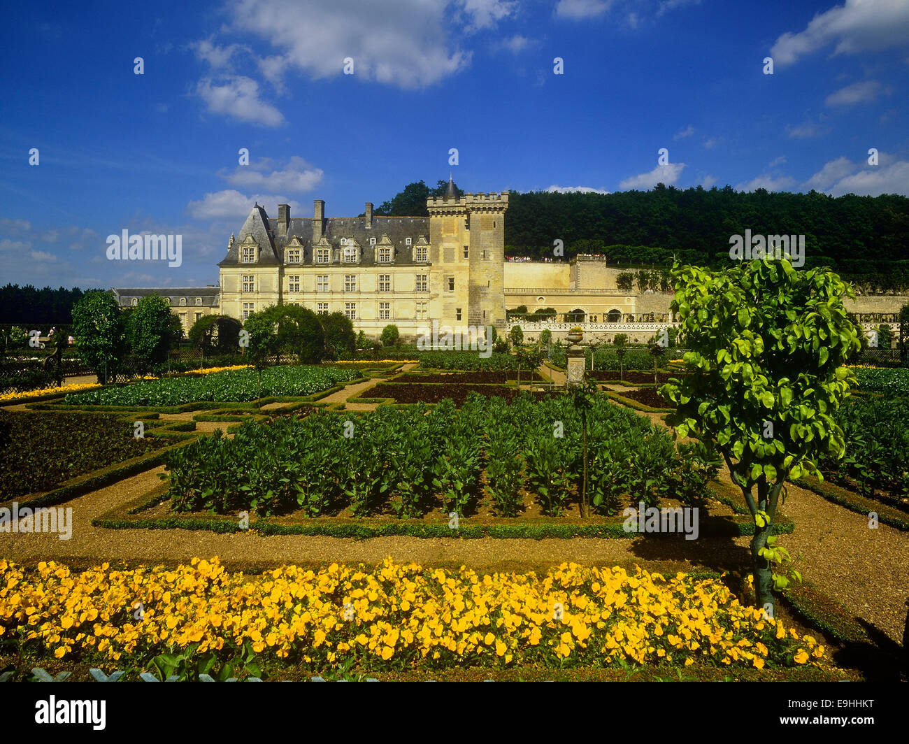 France, Loire Valley, Villandry, Chateau de Villandry, UNESCO World Heritage Stock Photo