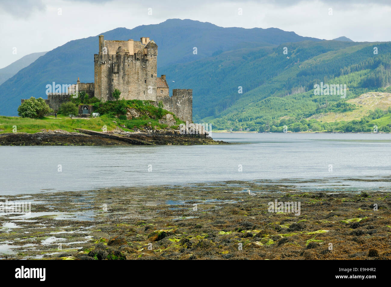 Eilean Donan Castle & Loch Duich, Dornie, Scotland Stock Photo