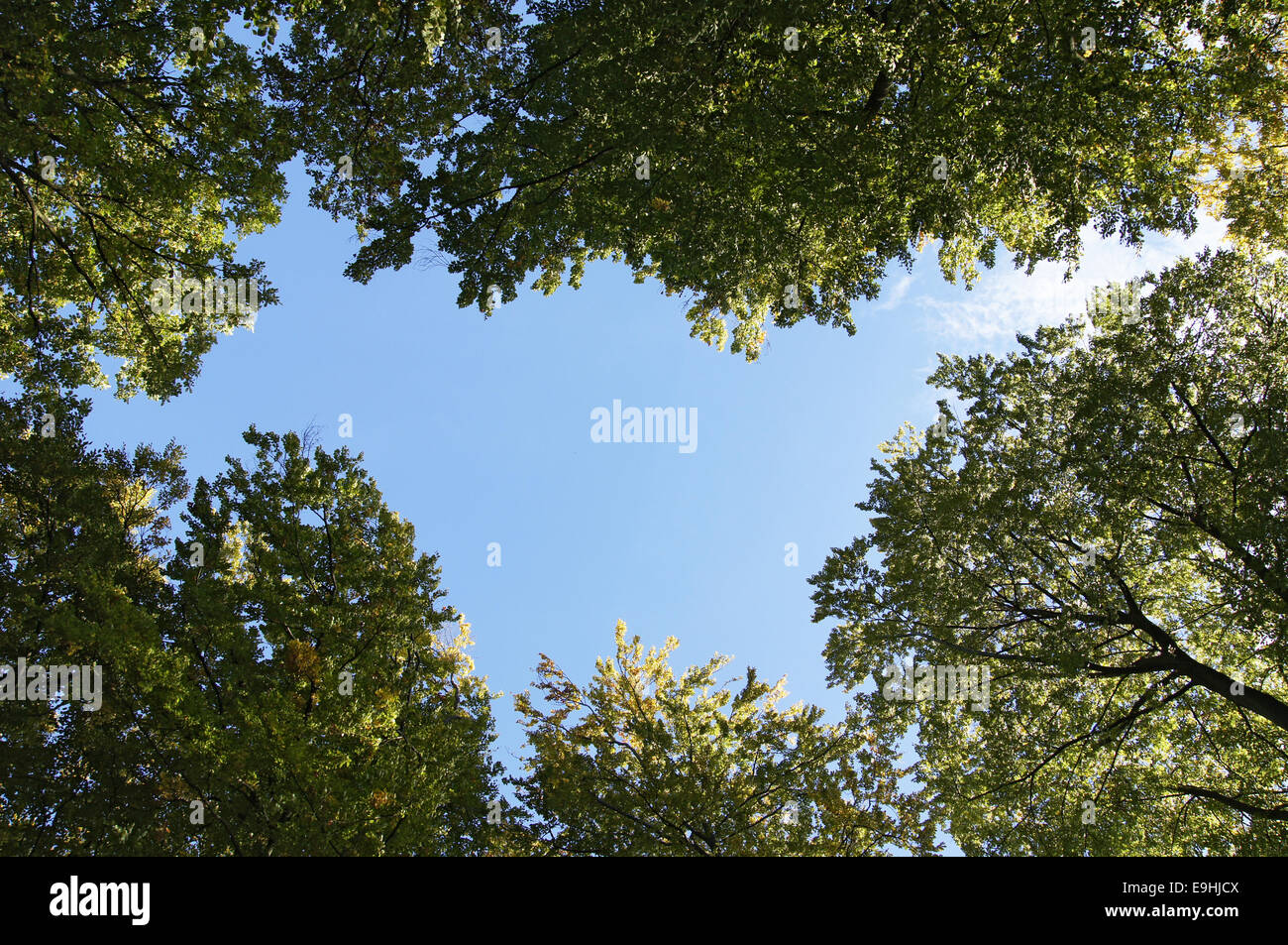 Autumnally atmosphere Stock Photo