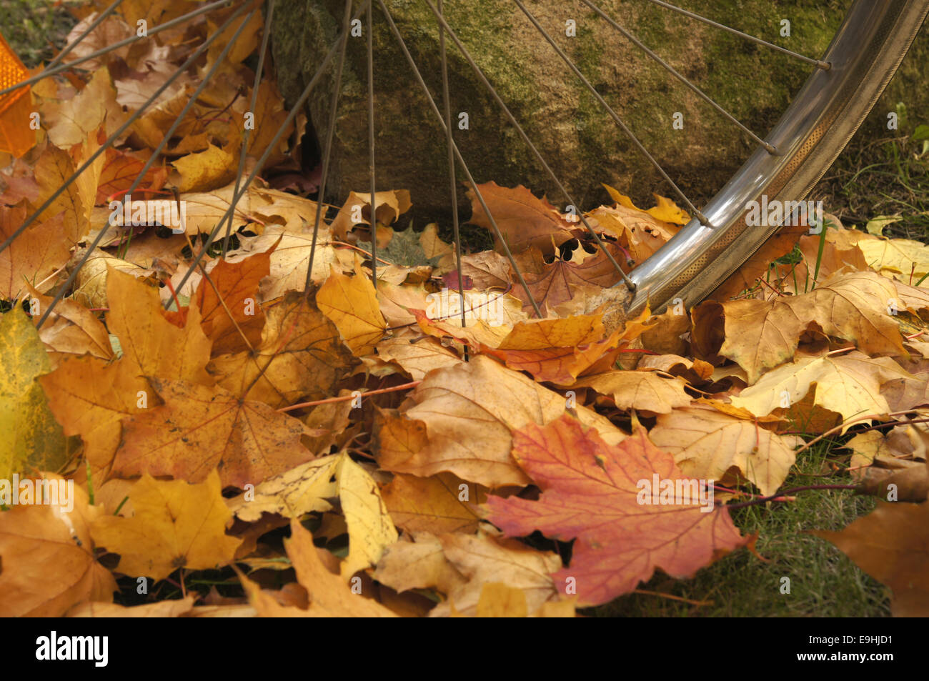 Autumnally atmosphere Stock Photo