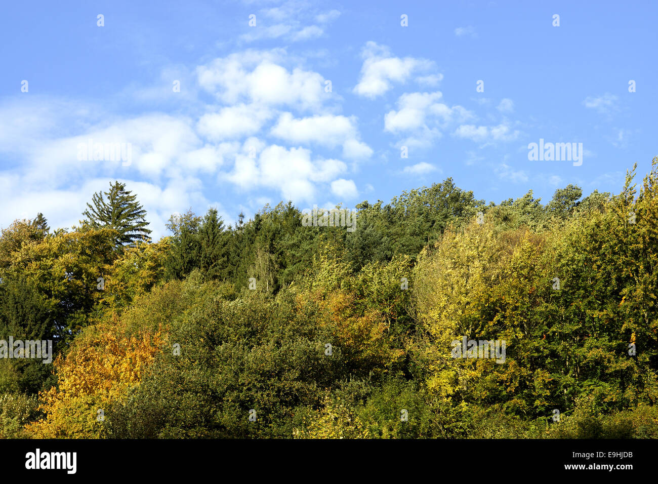 Autumnally atmosphere Stock Photo