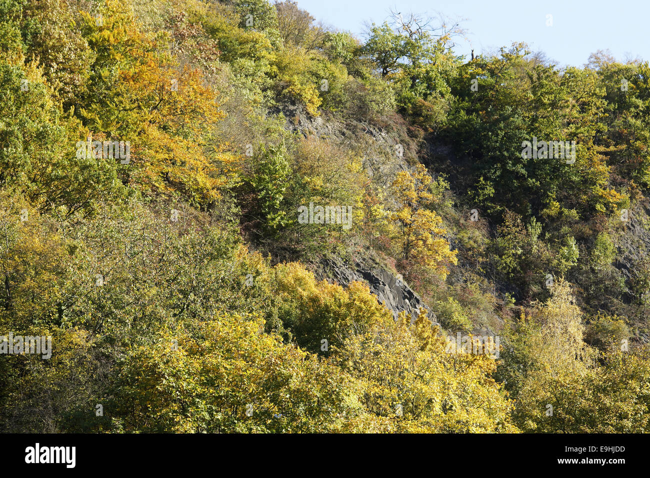 Autumnally atmosphere Stock Photo