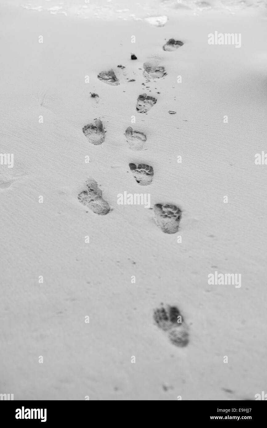 Footprints at the beach black and white Stock Photo