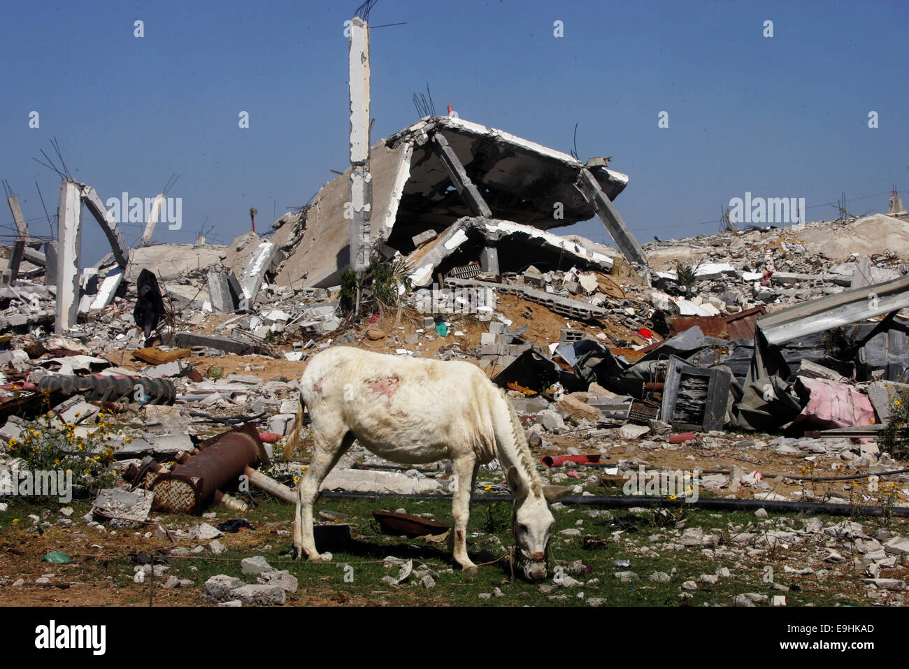 Khan Younis, Gaza Strip, Palestinian Territory. 28th Oct, 2014. A ...
