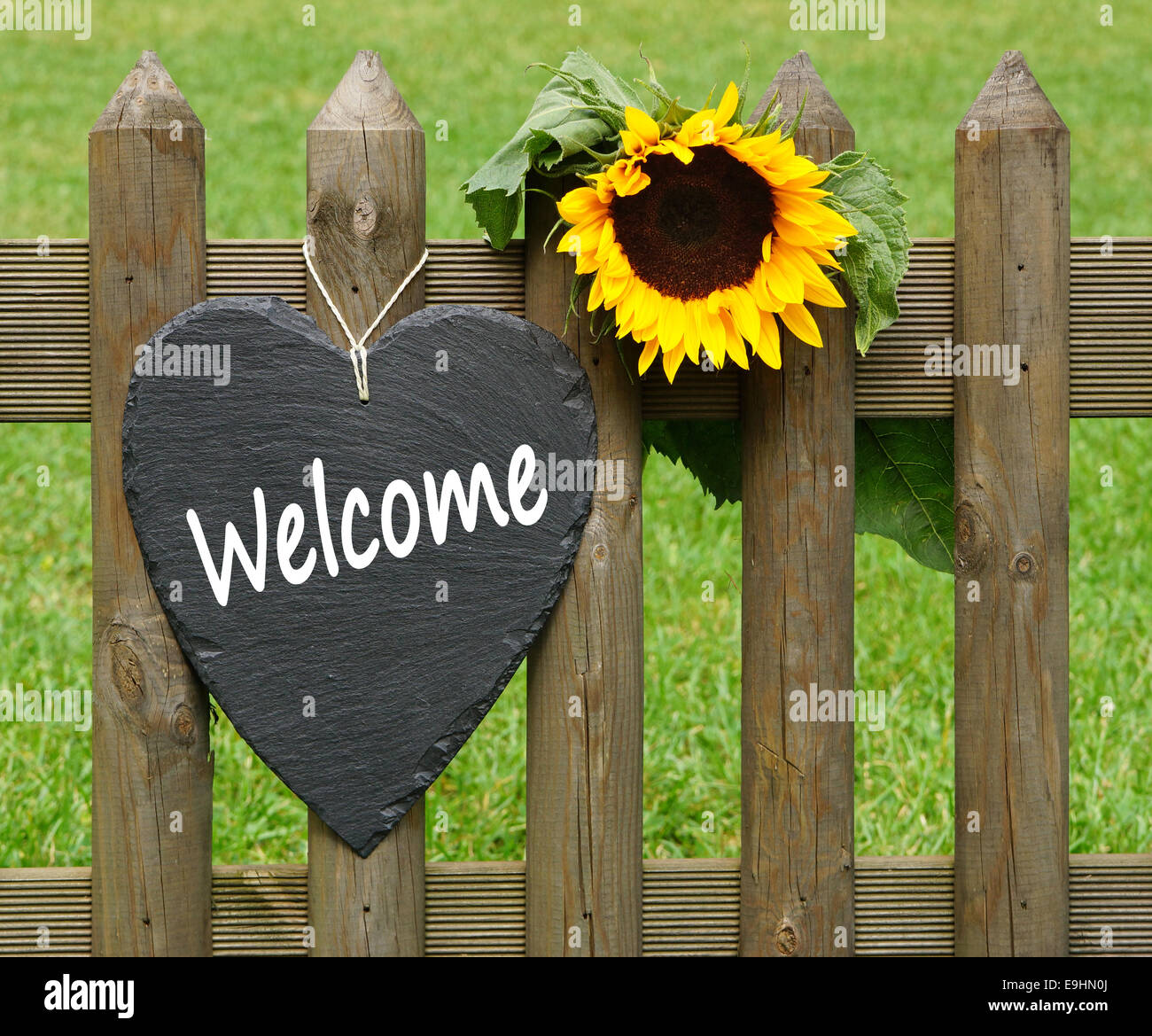 Hearty Welcome hearty-welcome